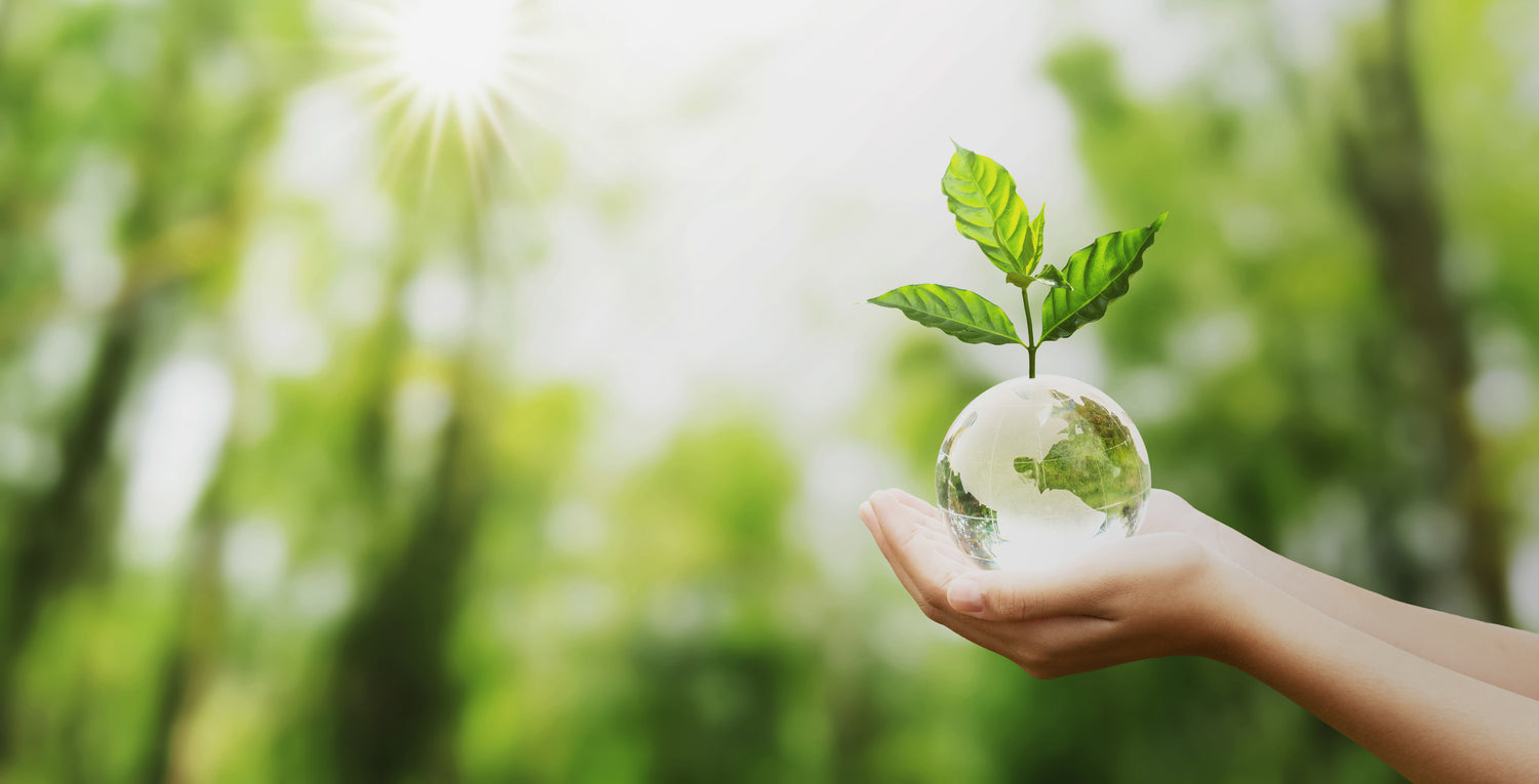 Organic Baby Products