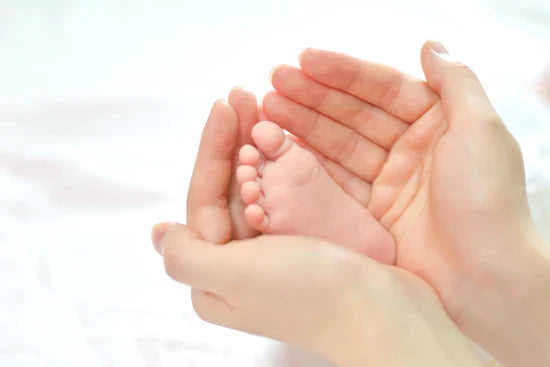 Organic Breastfeeding Pillow Summary