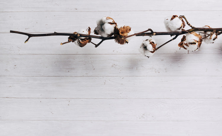 Organic Cotton Cot Protector