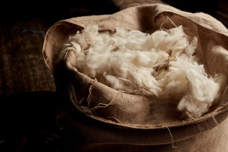 natural and organic fibre mattresses