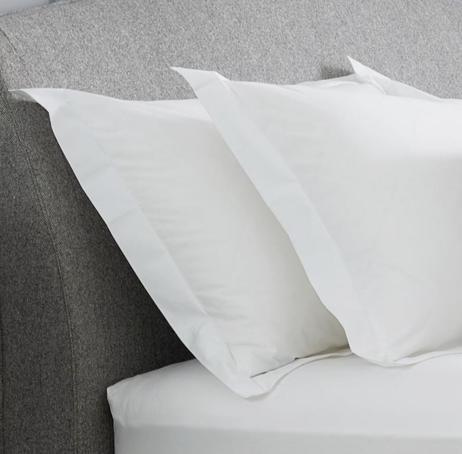 Percale Organic Cotton Pillow Case - Abaca Mattresses